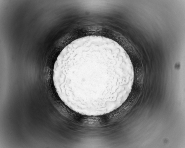 X0000103430758200810101042