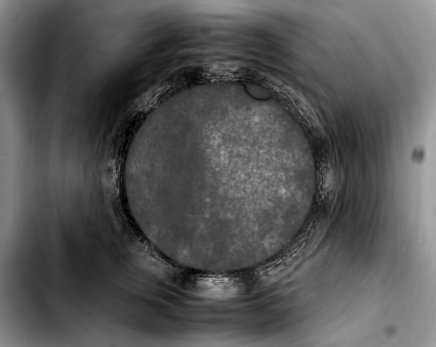 X0000103430759200810101042