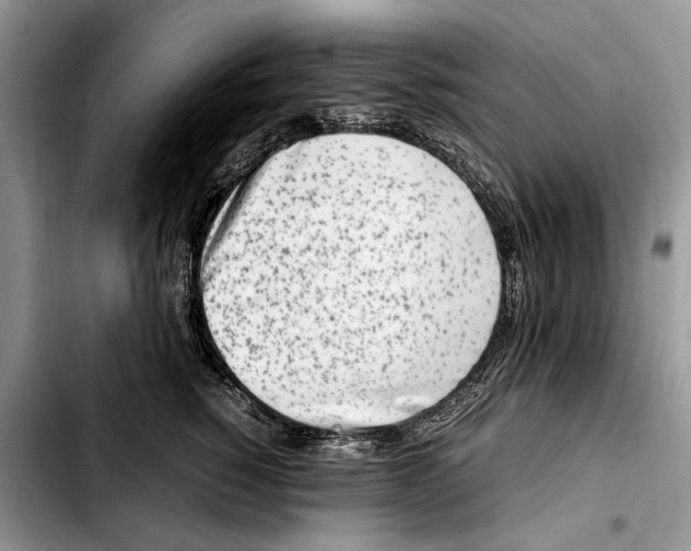 X0000103430760200810101042