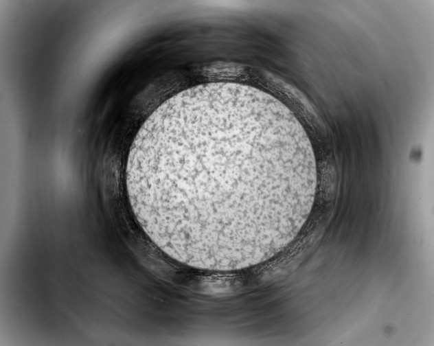 X0000103430761200810101042