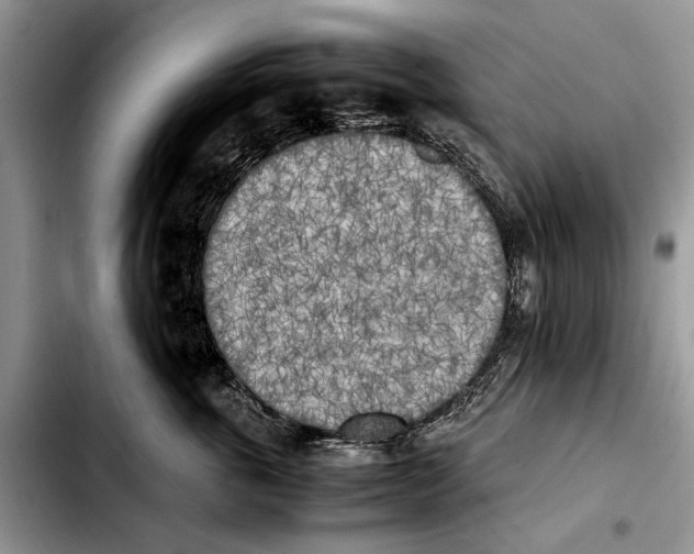 X0000103430763200810101042