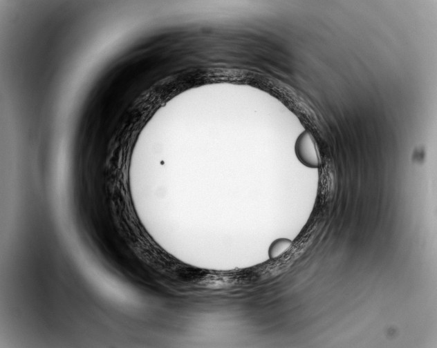 X0000103430764200810101042