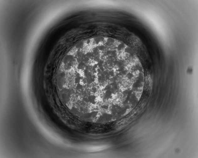 X0000103430765200810101042