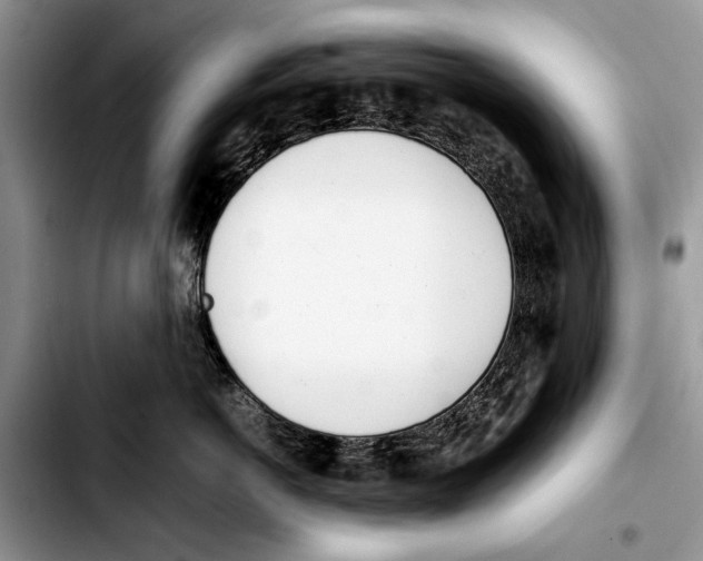 X0000103430766200810101042