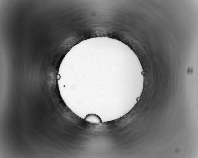 X0000103430768200810101042