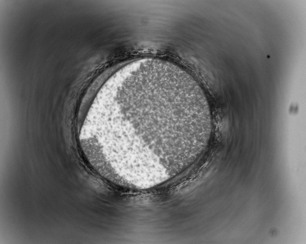 X0000103430769200810101042