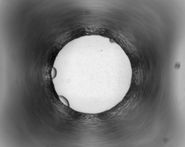 X0000103430770200810101042