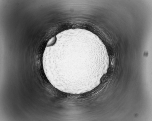 X0000103430771200810101041