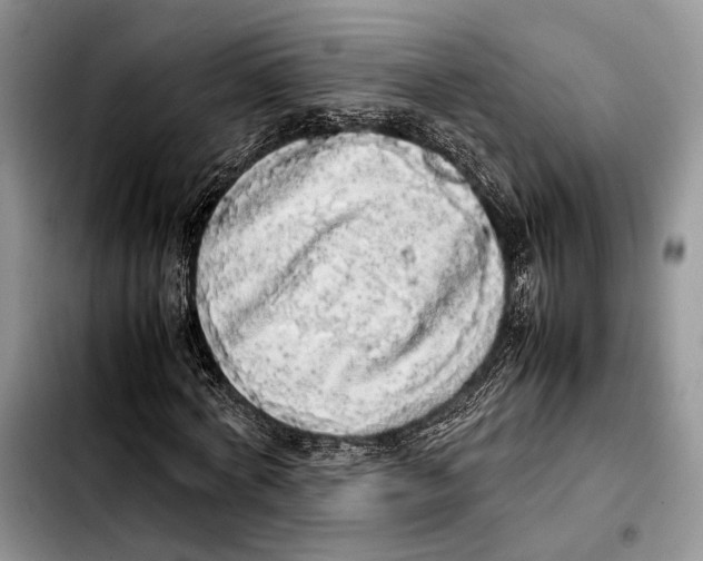 X0000103430772200810101041