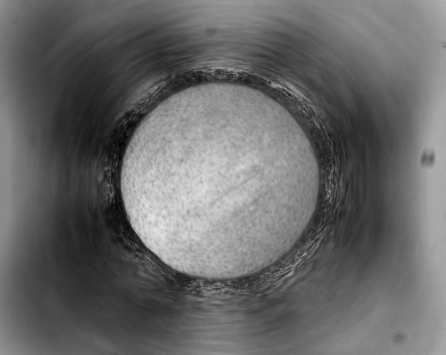 X0000103430774200810101041
