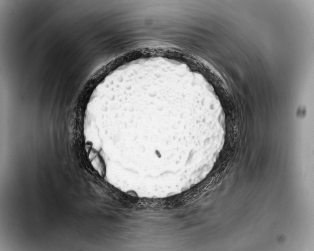 X0000103430775200810101041