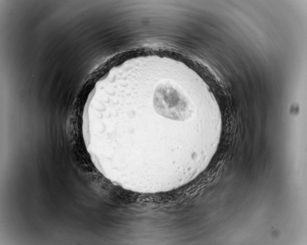 X0000103430776200810101041