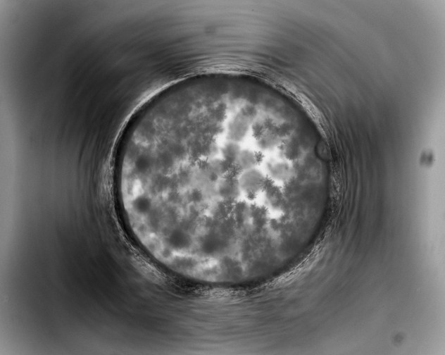 X0000103430779200810101041