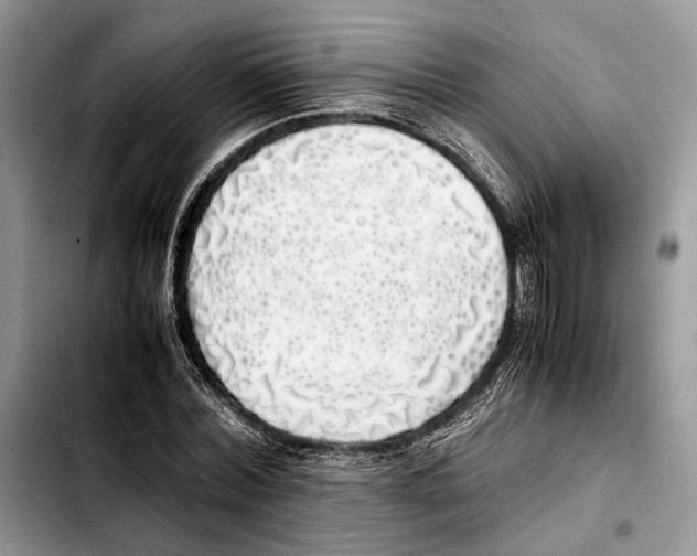 X0000103430780200810101041