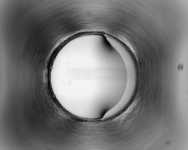 X0000103430781200810101041