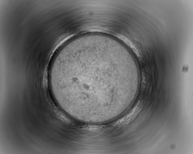 X0000103430782200810101041