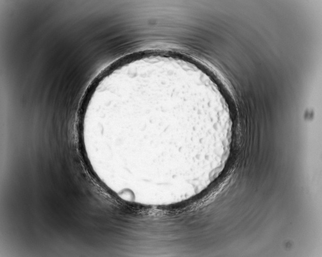 X0000103430783200810101041