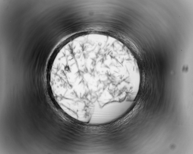 X0000103430784200810101041