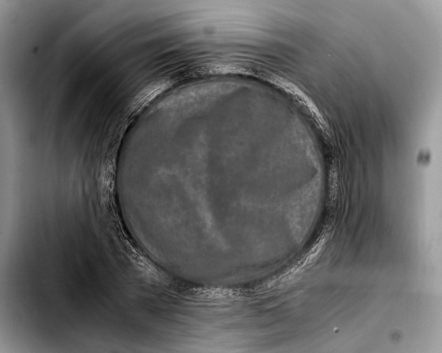 X0000103430785200810101041