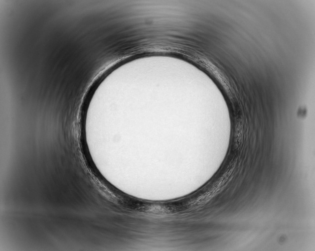 X0000103430787200810101041