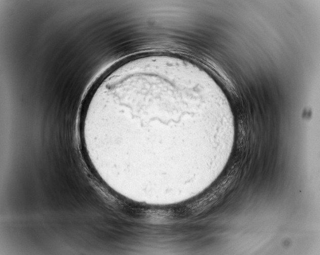 X0000103430788200810101041