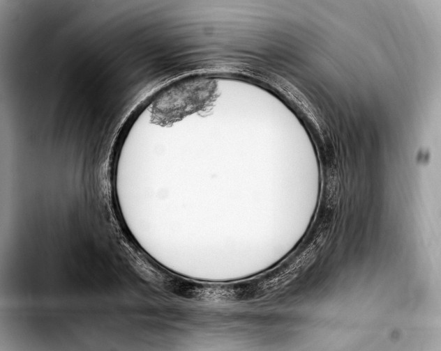 X0000103430789200810101041