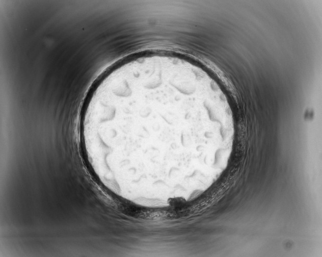 X0000103430791200810101041