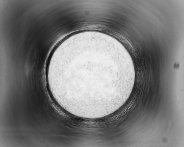X0000103430792200810101041