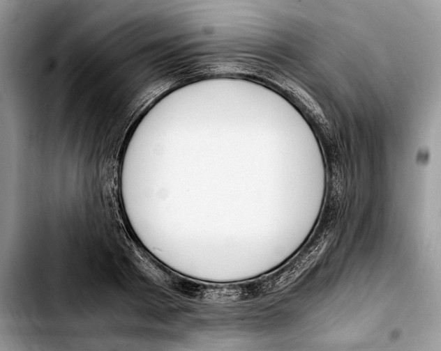 X0000103430793200810101041