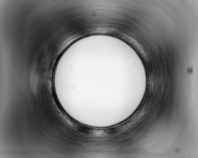 X0000103430794200810101041