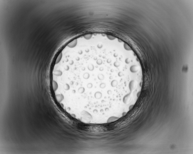 X0000103430795200810101041