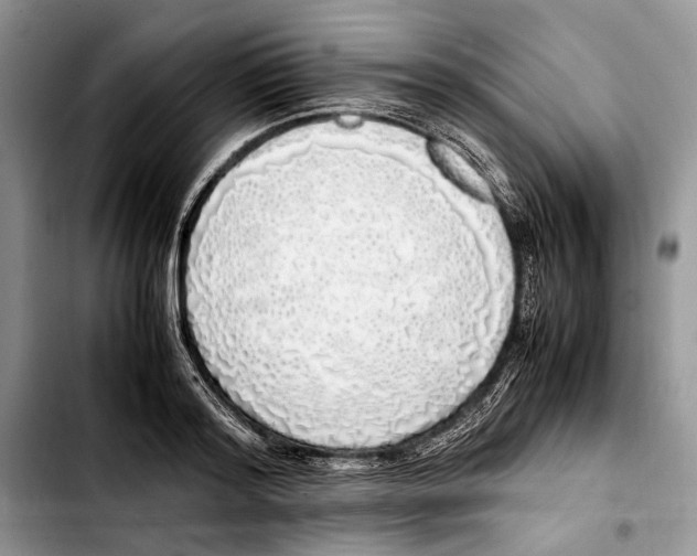 X0000103430796200810101041