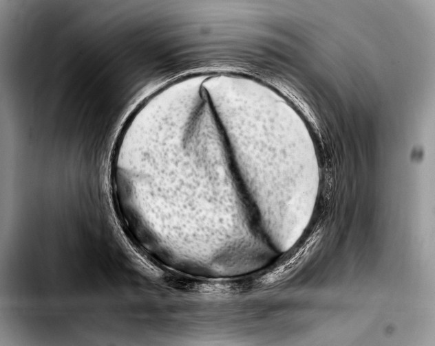 X0000103430797200810101041