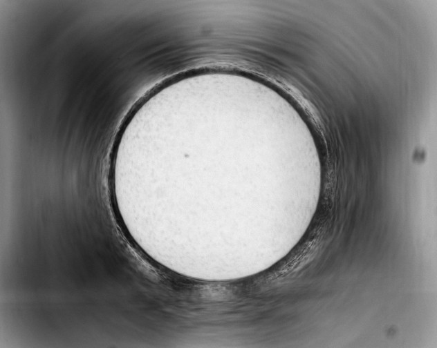 X0000103430799200810101041