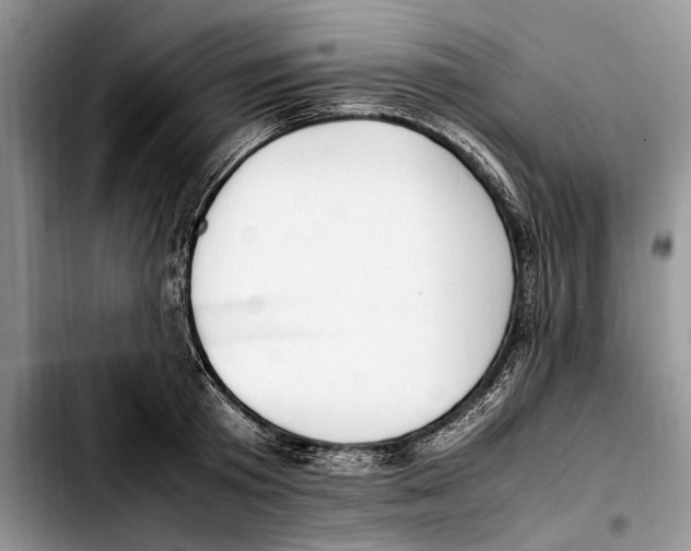 X0000103430801200810101041