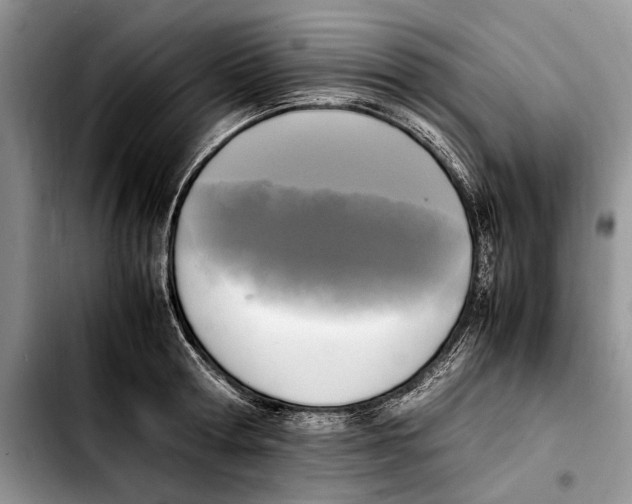 X0000103430802200810101041
