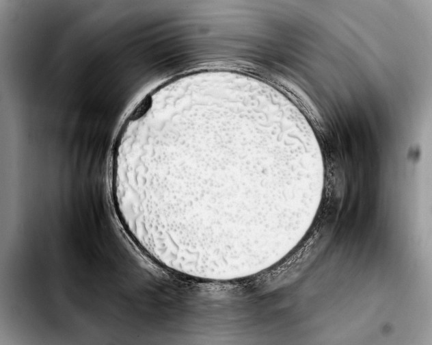 X0000103430804200810101041