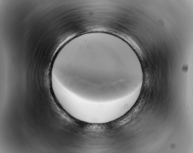 X0000103430806200810101041