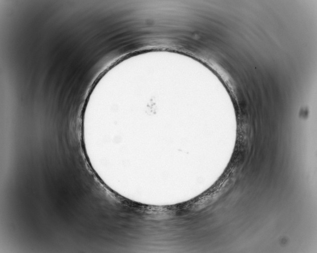 X0000103430807200810101041