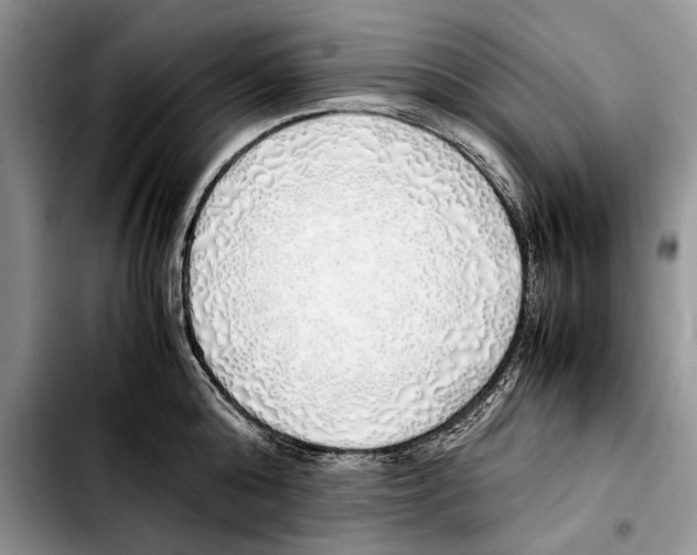 X0000103430808200810101041