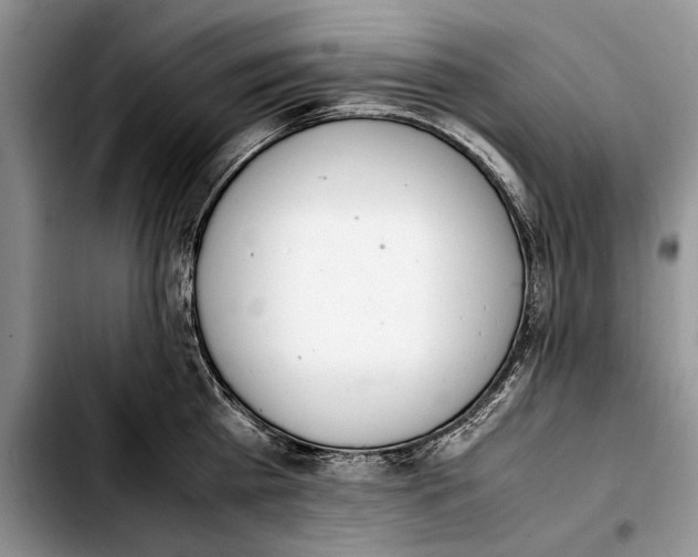 X0000103430809200810101041