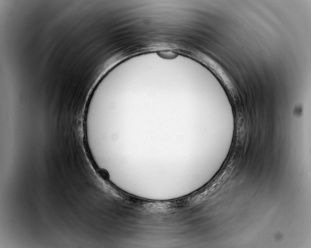 X0000103430810200810101041