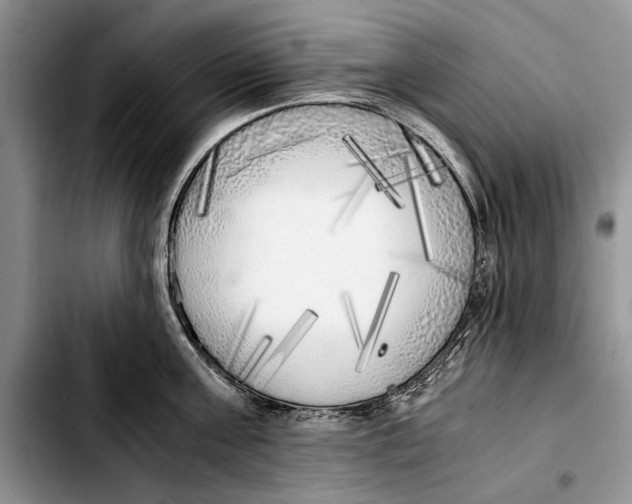 X0000103430811200810101041