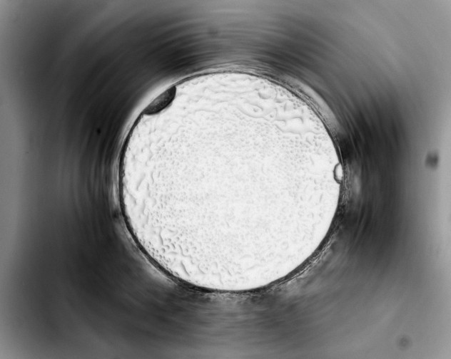 X0000103430812200810101041