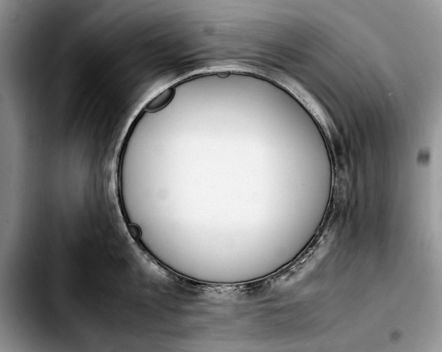 X0000103430813200810101041