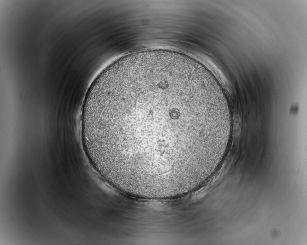 X0000103430814200810101041