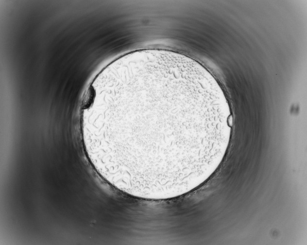 X0000103430816200810101041