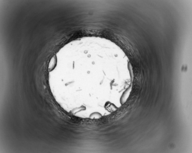 X0000103430817200810101040