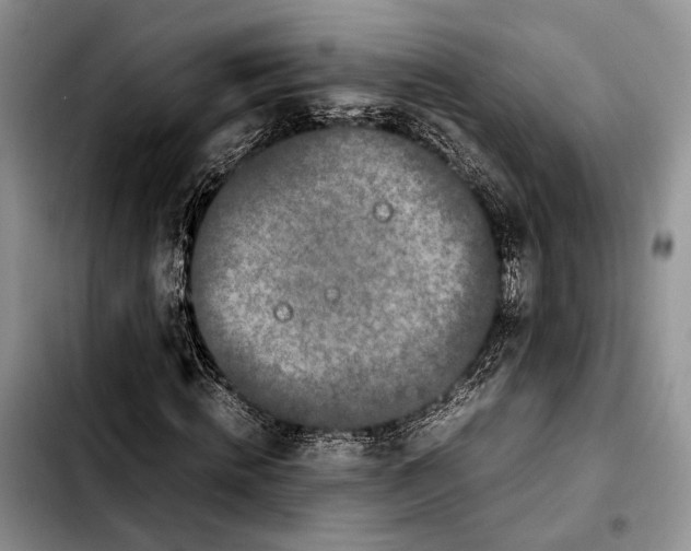 X0000103430820200810101040