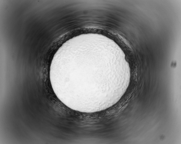 X0000103430821200810101040